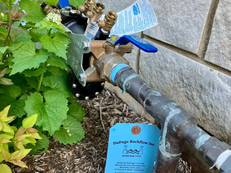brush removal in the Chicagoland Area4