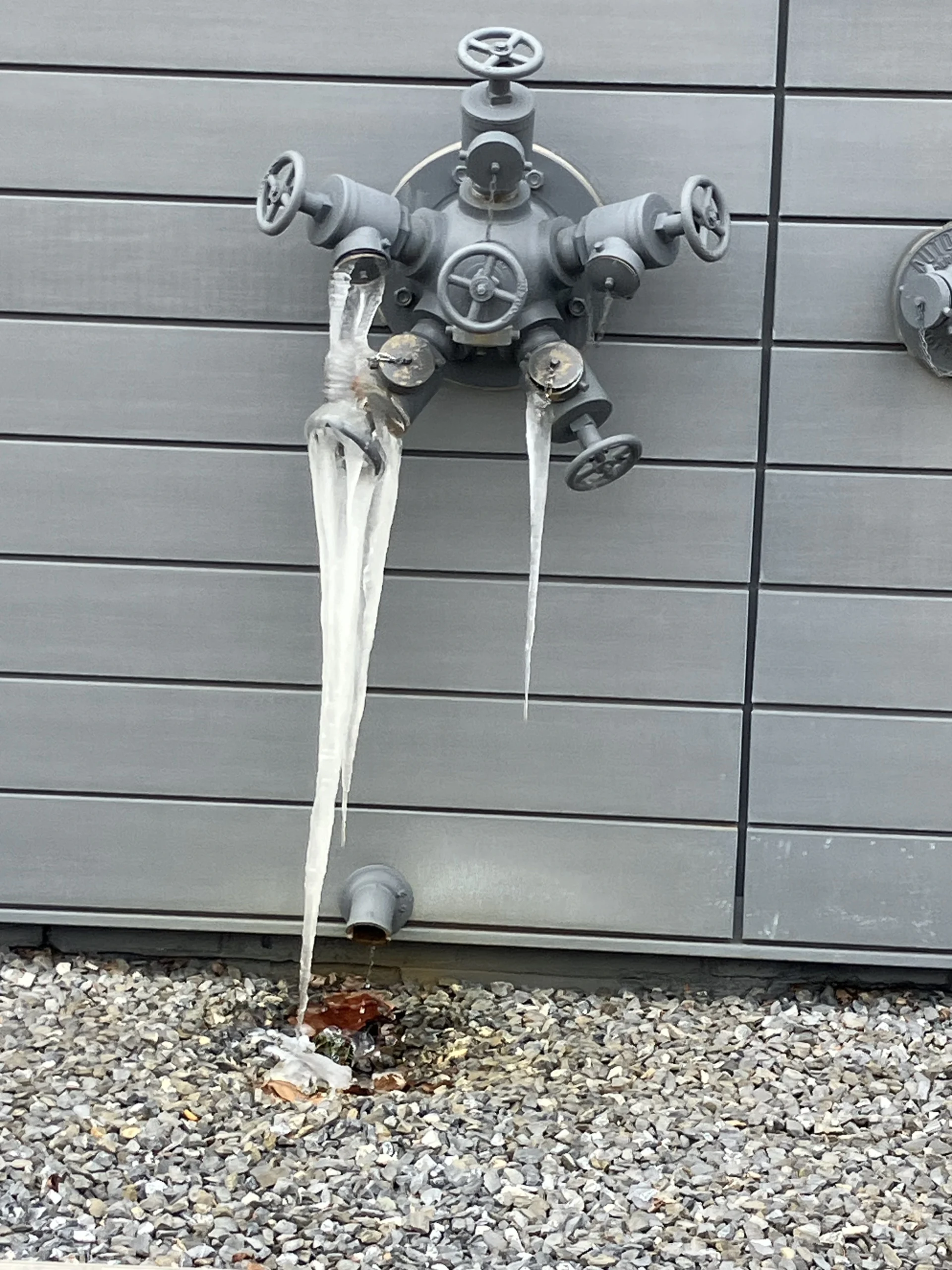 brush removal in the Chicagoland Area4